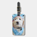 Zoek naar goldendoodle accessoires Gouddoedel