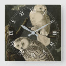 Zoek naar vogel kunst Kleur