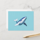 Zoek naar walvis briefkaarten Natuur