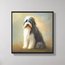 Recherche de colley barbu Animal de compagnie