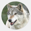 Recherche de bois gris autocollants Sauvage