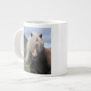 Recherche de poney shetland tasses Cheval