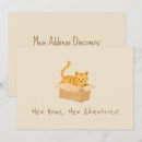 Recherche de chat de gingembre invitations Mignon