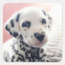 Zoek naar neus stickers Grappig