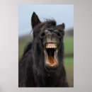 Zoek naar tanden posters Grappig