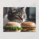 Zoek naar kattenkunst briefkaarten Grappig