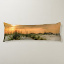 Recherche de mouettes coussins Photographie