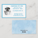 Recherche de chiot bleu cartes visite Toiletteur