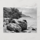 Recherche de rivages cartes postales Avec