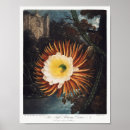Recherche de rétro chic posters Floral