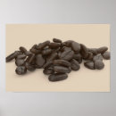 Zoek naar koffieboon posters Espresso