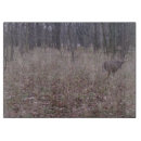 Recherche de buck dessous de verres Chasse au cerf