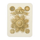 Recherche de créatures magnets Mer