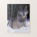 Recherche de loup gris puzzles Faune