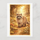 Recherche de ratons laveurs cartes postales Forêt