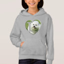 Recherche de bichon frisé Maman de chien