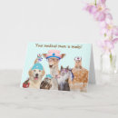 Recherche de chat et hibou cartes postales Chaton