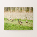 Recherche de oies puzzles Faune