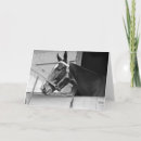 Zoek naar zwart wit paard kaarten Equine