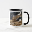 Recherche de la nouvelle vie tasses Animal