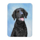 Recherche de boue magnets Animal