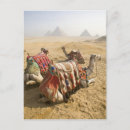 Recherche de dave cartes postales Culture