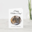 Zoek naar katten moeder kaarten For her