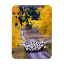 Recherche de ouest américain magnets Pays