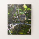Zoek naar vogels puzzels Fotografie