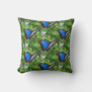 Recherche de papillon bleu morpho coussins Motif