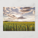 Recherche de queensland cartes postales Fleur