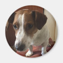 Recherche de imprimer magnets Chien