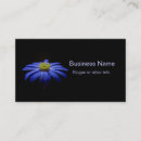 Recherche de marguerite africaine cartes visite Fleur