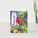 Recherche de fleurs de ketmie vœux cartes Rouge