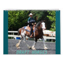 Recherche de cheval de trait Clydesdales