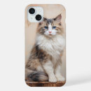 Recherche de ragdoll iphone coques Chat
