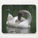 Zoek naar witte zwaan muismatten Schattig