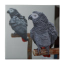 Recherche de miroir carreaux Reflet