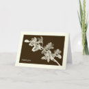 Recherche de exotique vœux cartes Floral