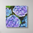 Recherche de hortensias toiles Plante