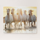Recherche de chevaux puzzles Coucher de soleil
