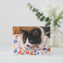 Recherche de tux cartes postales Pour tous