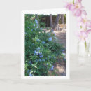 Zoek naar tuinman kaarten Planten