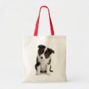 Recherche de border collie sacs Chiot