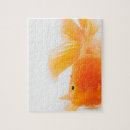 Recherche de poisson rouge puzzles Animal