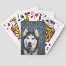 Zoek naar siberisch speelkaarten Alaskan malamute
