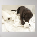 Recherche de parquet posters Horizontal