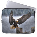Zoek naar adelaar laptop sleeves Raptor