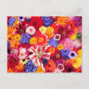 Recherche de oriental cartes postales Fleur