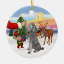 Recherche de caniche standard ornements Chien
